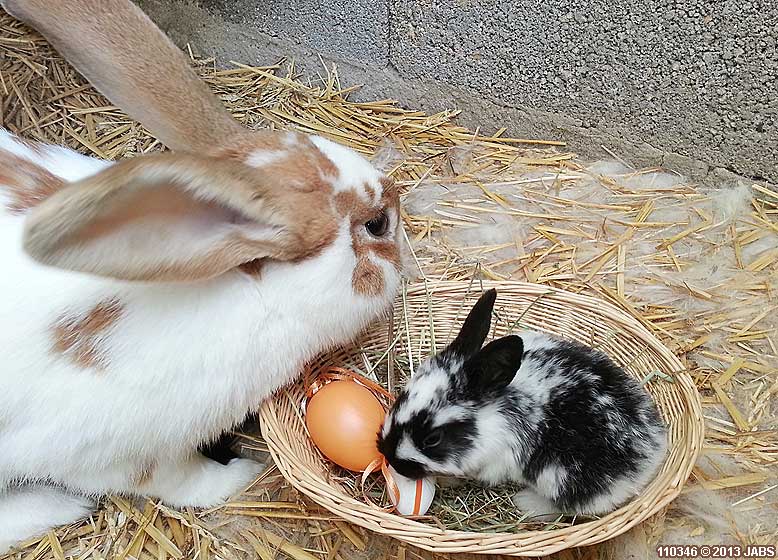 Ostern Familienurlaub mit Kindern